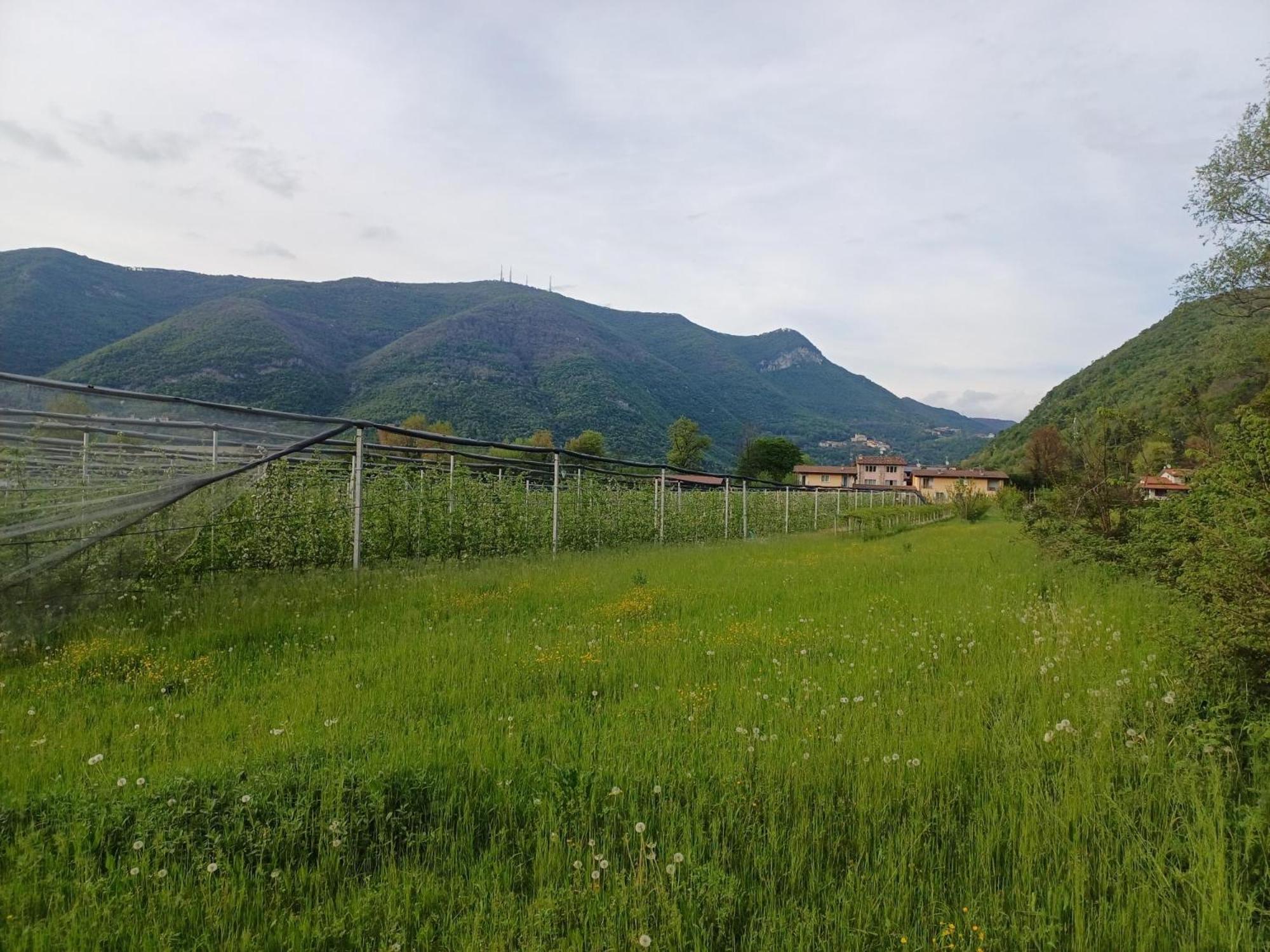 Cascina Legnago Bilocale A 6 Chilometri Da Salo' Apartment Villanuova sul clisi Екстериор снимка