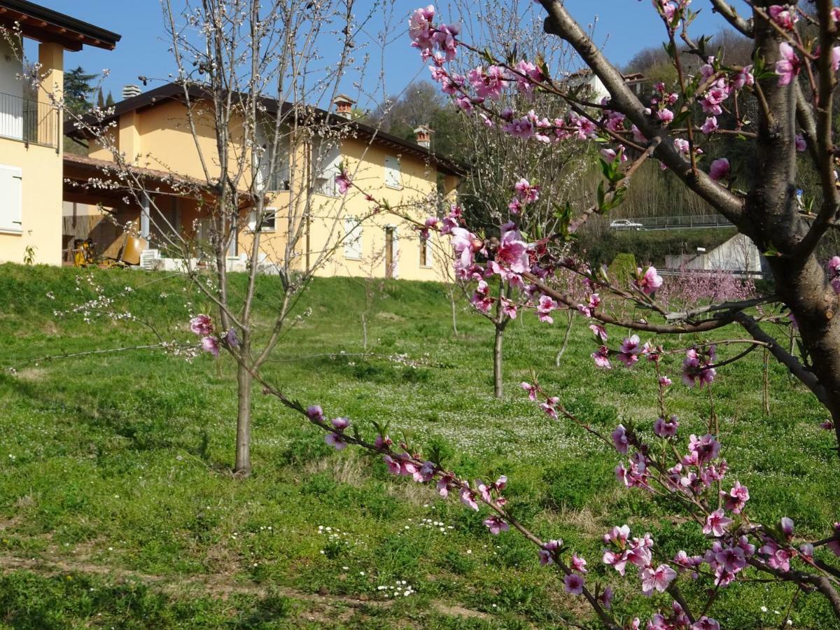 Cascina Legnago Bilocale A 6 Chilometri Da Salo' Apartment Villanuova sul clisi Екстериор снимка